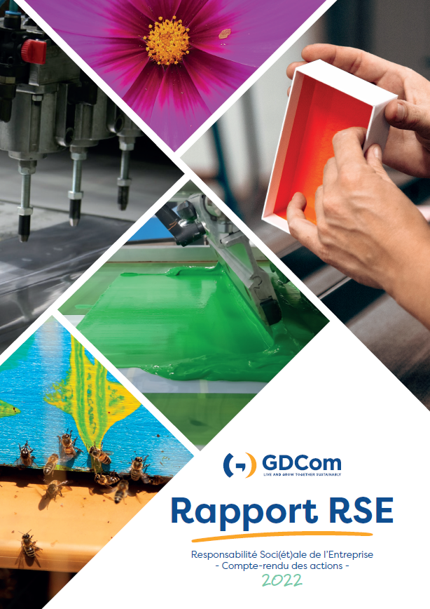 Rapport RSE 20222